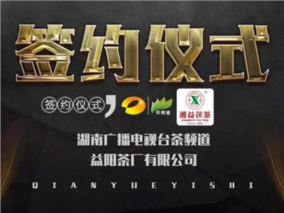 湘益茯，美茗揚 丨湘益茯茶與茶頻道達成長(cháng)期戰略合作