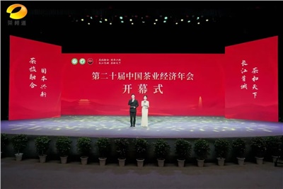 【聚焦第二十屆中國茶業(yè)經(jīng)濟年會(huì )】益陽(yáng)茶廠(chǎng)榮獲“民族團結互助企業(yè)”、“2024年度茶業(yè)重點(diǎn)企業(yè)”榮譽(yù)稱(chēng)號